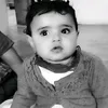 omar114546