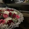om_waleed22