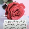fatmahaqel369