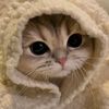 anggiwwwwwww_