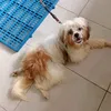 raquel_hb11