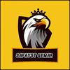 ffsafayet7.com0