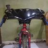 ival123