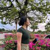 mariii_15.2