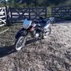 danni_391