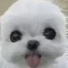 casilyy_