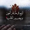 sabreen.kareem2