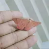shafiprodhan471
