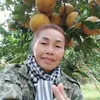 xuyenbui2005
