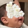 dy3sisbov3ui1