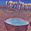 filsdudesert3