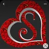 salii.133