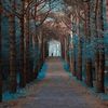 mohamedmoha9583