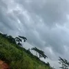 gambo_gram