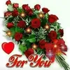 nadin_fer