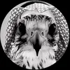 e_ov25