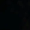 aless_xzz
