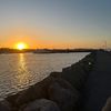 miraysaloum