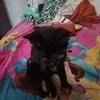usercrthggenrx