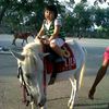 mitha2709