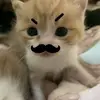 mutiia4__