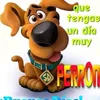 jorgekir