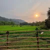 Nông trại Bình An