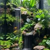 aviary_beautiful