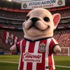 fridacorea
