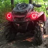 redraskle570