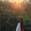 mahdibamahi0