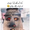 amir_awan577