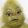 grinchy1738