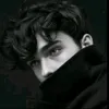 la_lg313