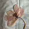 larisa_1
