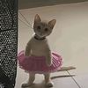 worldoftuwi