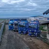 radu.macovei