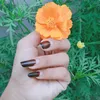 miraclebabe14