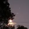 munghoih368