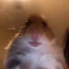 uservn2pzldp4j
