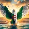 rachid007000