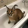 rrttet