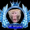 bishop_wayne