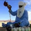 lazharboubakri