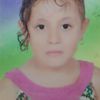 reem_amr14