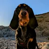 barneybassett21