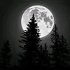 endrianwolf3