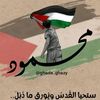 mahmoudelshabarwy