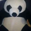 teddy_beurre