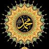 anjuman9520